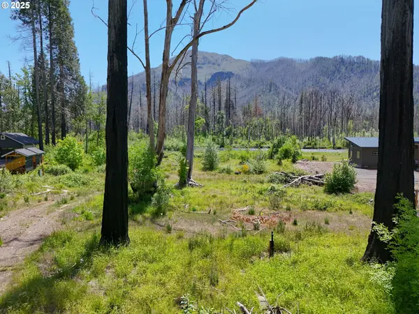 52958 MCKENZIE HWY, Blue River, OR 97413