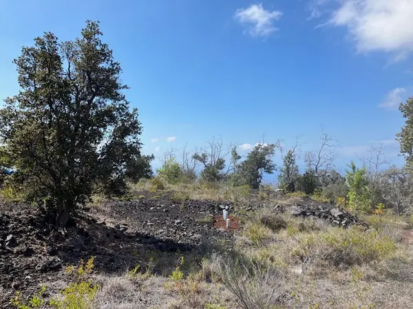 92-1974 LUAU DR, Ocean View, HI 96737