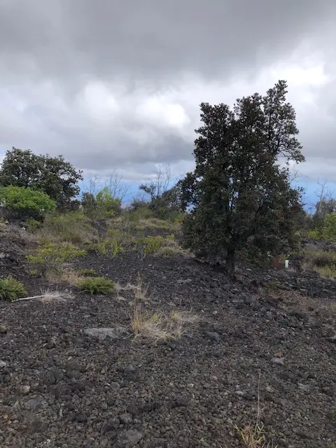 92-1974 LUAU DR, Ocean View, HI 96737