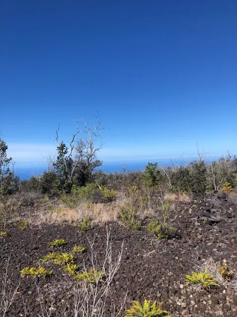 92-1974 LUAU DR, Ocean View, HI 96737