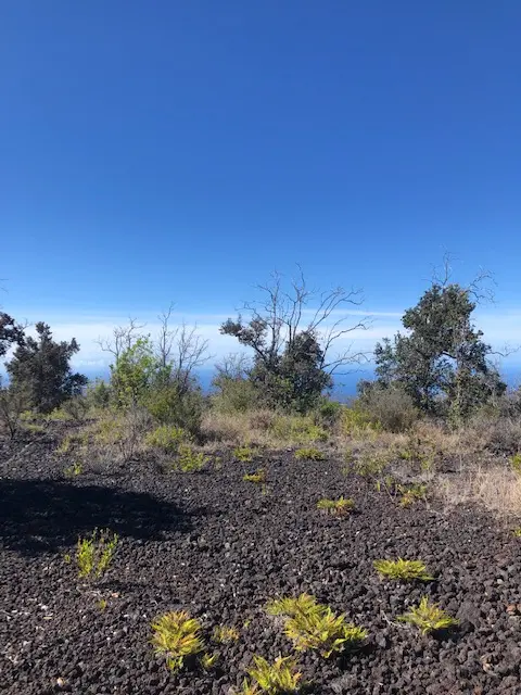 92-1974 LUAU DR, Ocean View, HI 96737