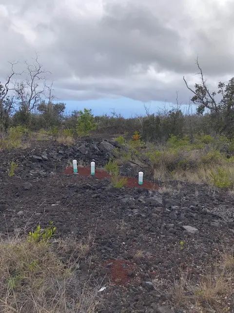 92-1974 LUAU DR, Ocean View, HI 96737