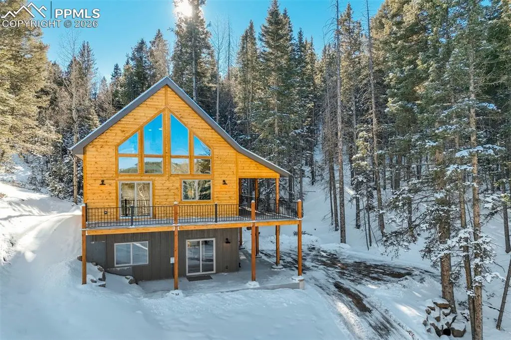 162 Kernite LN, Divide, CO 80814