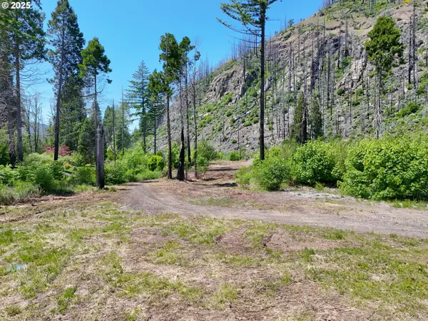 52984 MCKENZIE HWY, Blue River, OR 97413