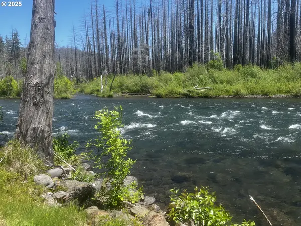 52984 MCKENZIE HWY, Blue River, OR 97413