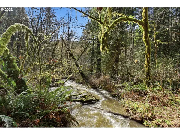 0 NW Green Mountain Rd. #1, Banks, OR 97106