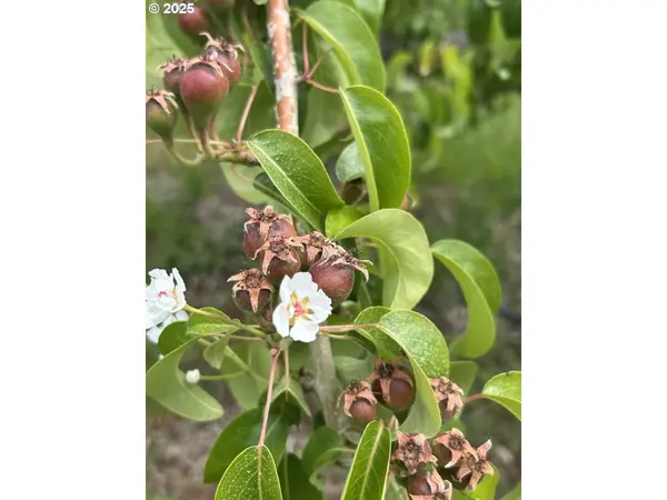 6765 COOPER SPUR RD, Mt Hood Prkdl, OR 97041