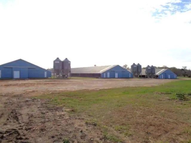 TBD WOODCHUCK, Winnsboro, TX 75494