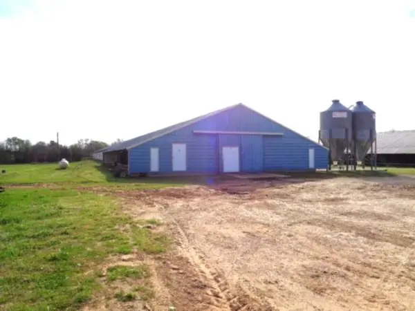 TBD WOODCHUCK, Winnsboro, TX 75494