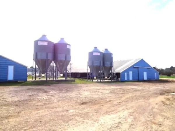 TBD WOODCHUCK, Winnsboro, TX 75494