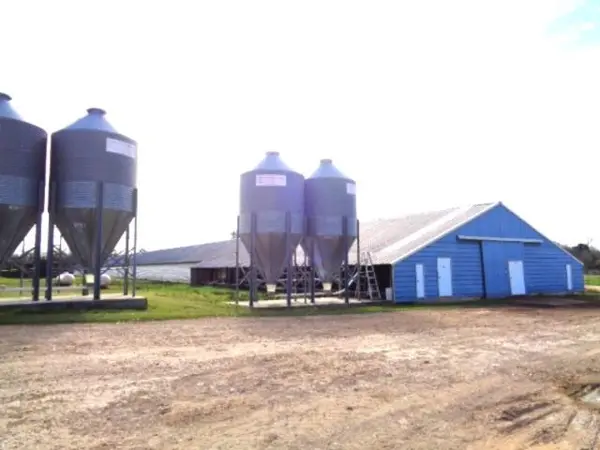 TBD WOODCHUCK, Winnsboro, TX 75494