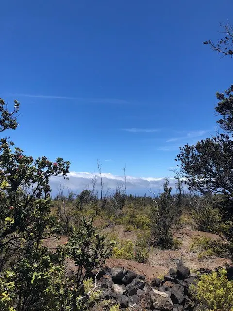 PINEAPPLE PKWY, Ocean View, HI 96737