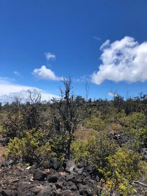 PINEAPPLE PKWY, Ocean View, HI 96737