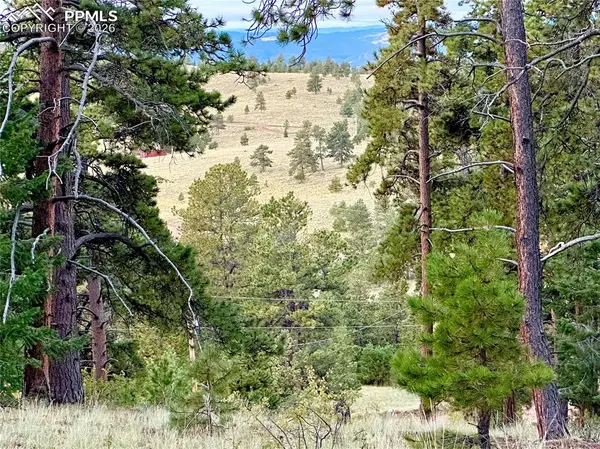 908 Penrose CIR, Cripple Creek, CO 80813