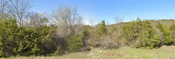 2600 Alta Vista Court, Granbury, TX 76049