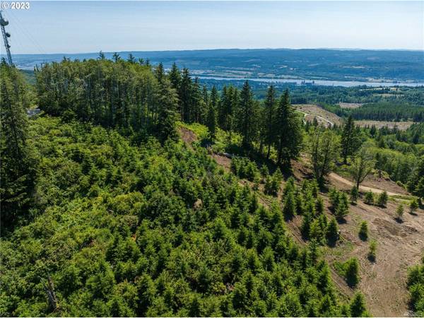 CHINA GARDEN RD #D, Kalama, WA 98625