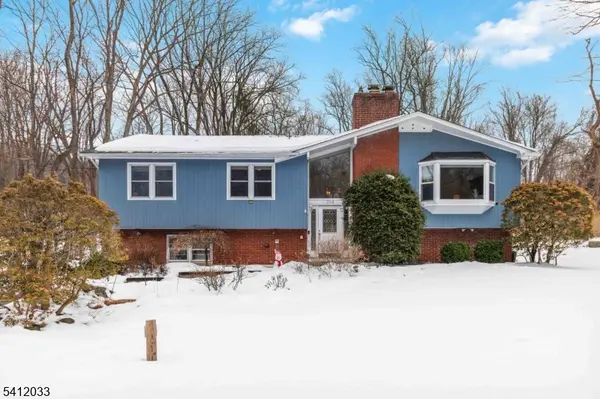 384 Millbrook Ave, Randolph Twp., NJ 07869