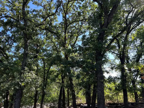 4129 Cactus Drive, Argyle, TX 76226