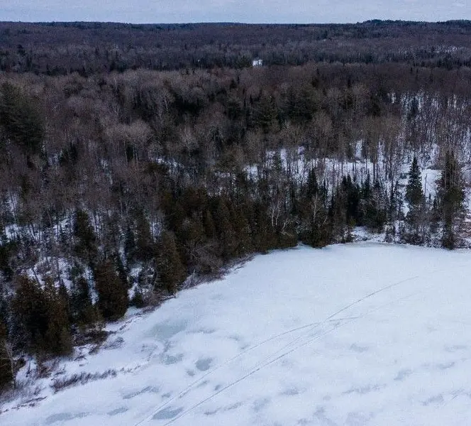 2193a Fern Glen RD S, Mcmurrich/monteith, ON P0A 1Y0