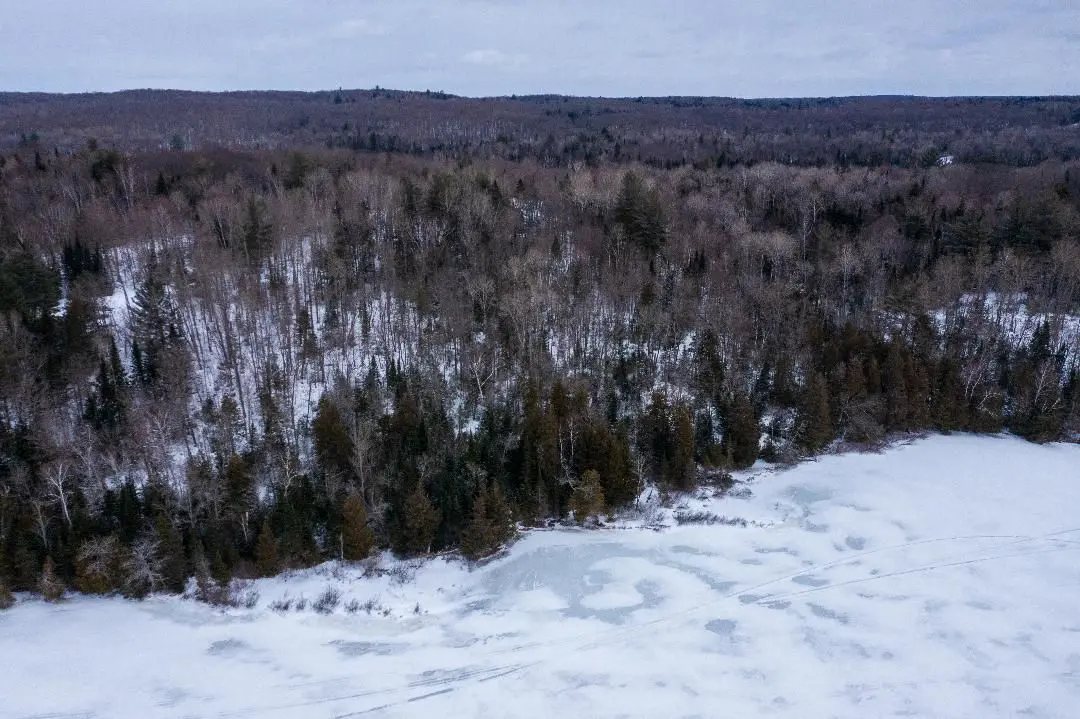 2193 Fern Glen RD S, Mcmurrich/monteith, ON P0A 1Y0