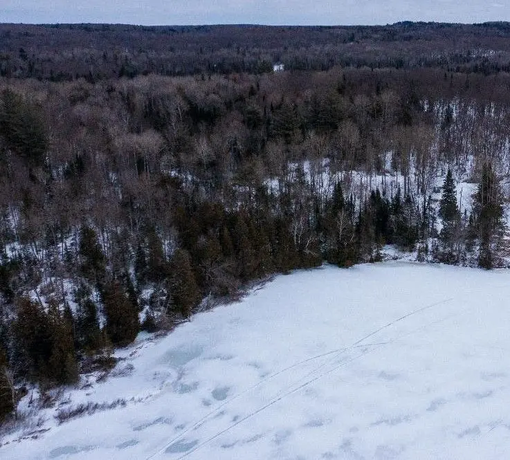 2193a Fern Glen RD S, Mcmurrich/monteith, ON P0A 1Y0