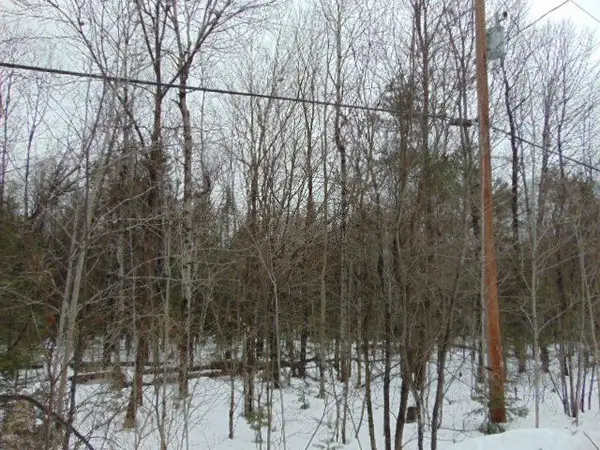 Lot 11 Plan 580 North DR, Dysart Et Al, ON K0M 1S0