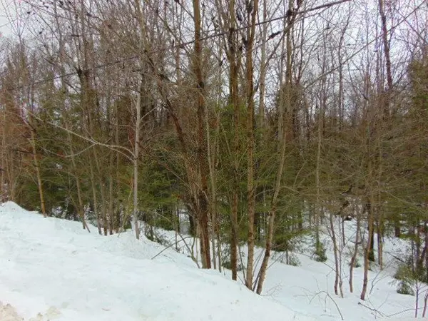 Lot 11 Plan 580 North DR, Dysart Et Al, ON K0M 1S0