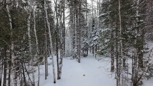 1272 Ursa RD, Highlands East, ON K0M 1S0