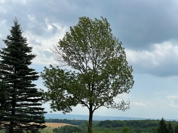 196690 Grey Road 7 RD, Grey Highlands, ON N4L 1W7