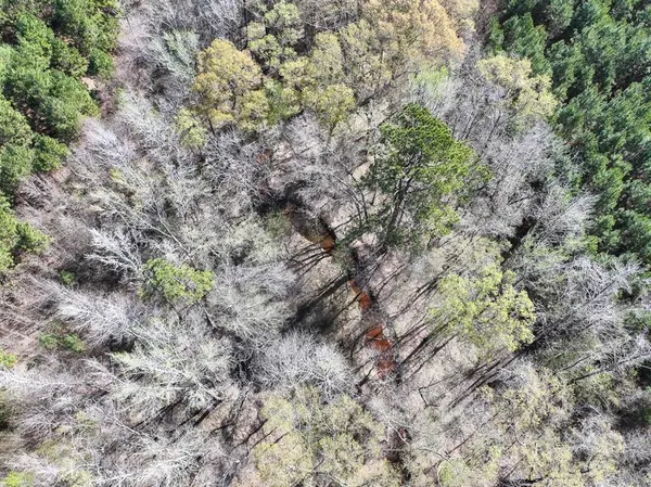 7 United Gas Road 1, Rodessa, LA 71069