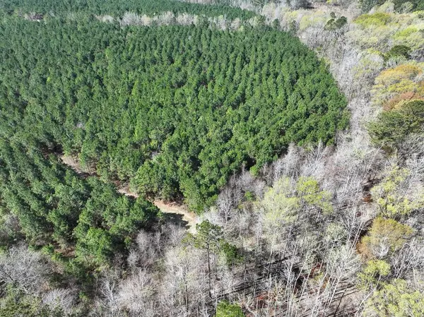 7 United Gas Road 1, Rodessa, LA 71069