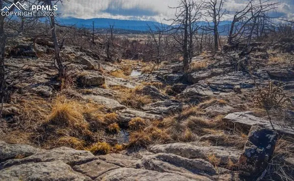 LOT 73 Cedar Grove RD, Beulah, CO 81023