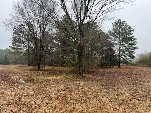 TBD County Road 3121, Clarksville, TX 75426