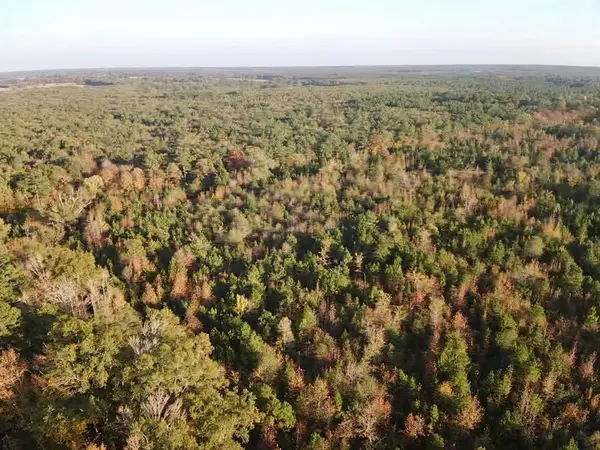 000 Farm To Market 114, Avery, TX 75554