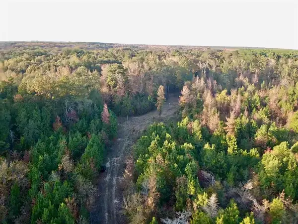 000 Farm To Market 114, Avery, TX 75554