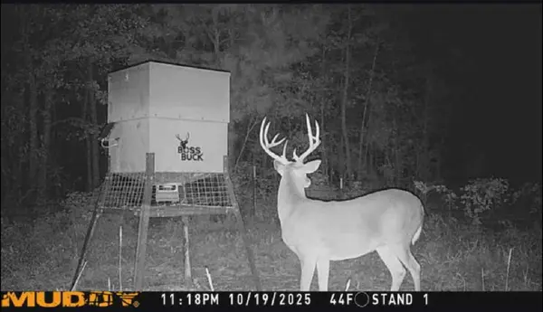 000 Farm To Market 114, Avery, TX 75554