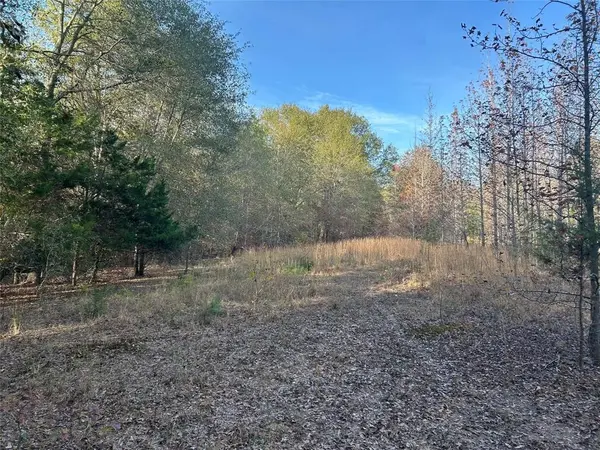 tract A County Road 1412, Bogata, TX 75426