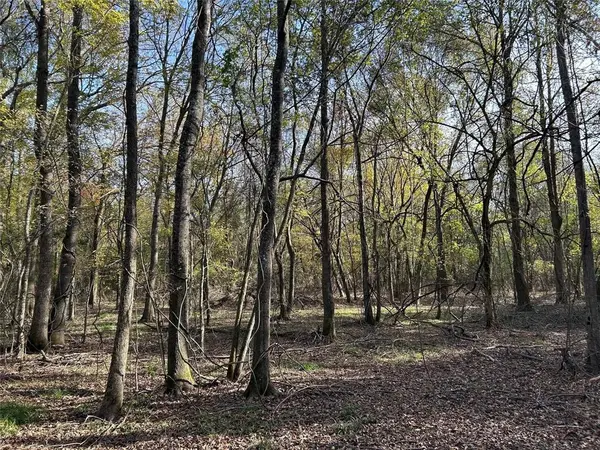 tract A County Road 1412, Bogata, TX 75426