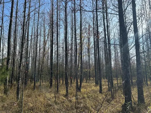 tract A County Road 1412, Bogata, TX 75426