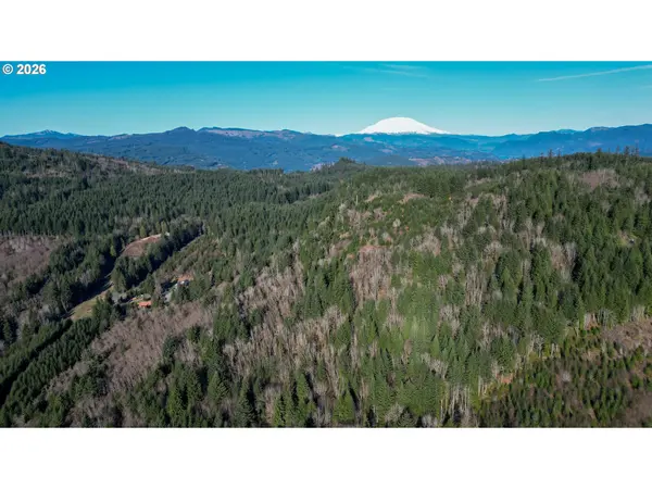 43911 NE COLUMBIA TIE RD, Amboy, WA 98601