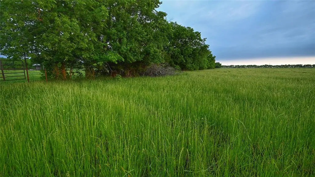 TBD FM 1752 Road, Whitewright, TX 75491