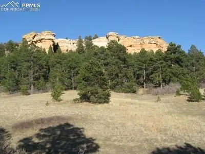 772 Douglas AVE, Palmer Lake, CO 80133