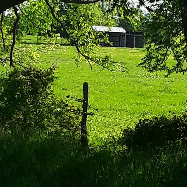 TBD FM 1752 Road, Whitewright, TX 75491