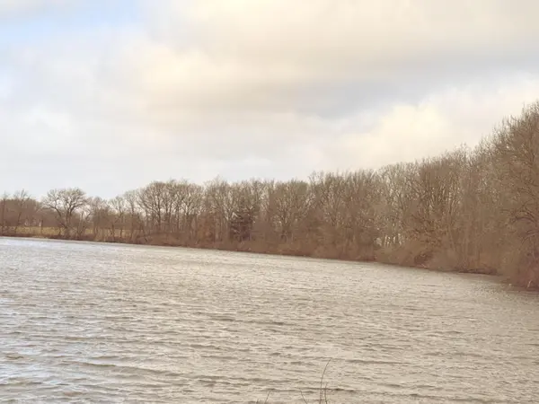 4429 Meadow Brook LN, Greenville, MI 48838