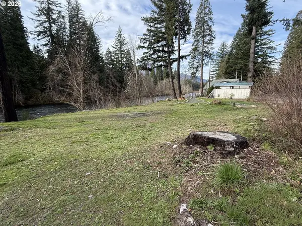 54480 McKenzie River DR, Blue River, OR 97413