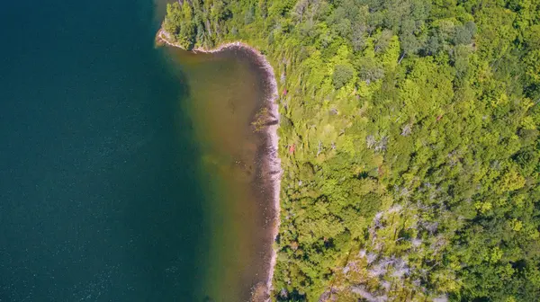 2368 Essonville Line RD, Highlands East, ON K0L 3C0