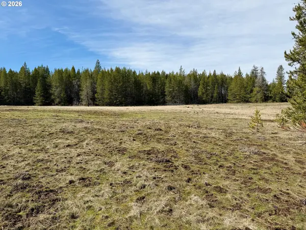 64796 WAPITI LN, Meacham, OR 97859