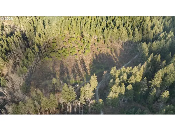 1860 EAKIN RD, Azalea, OR 97410