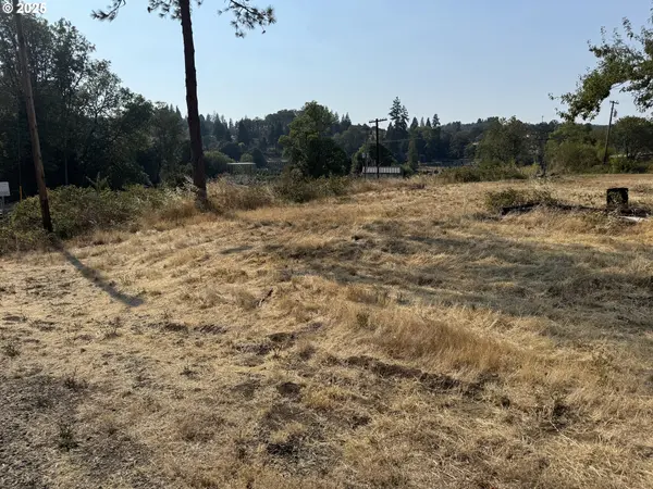 411 NE 1ST ST, Oakland, OR 97462