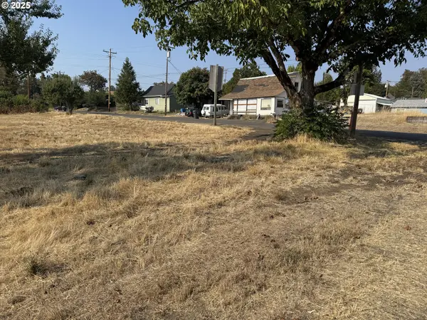 411 NE 1ST ST, Oakland, OR 97462